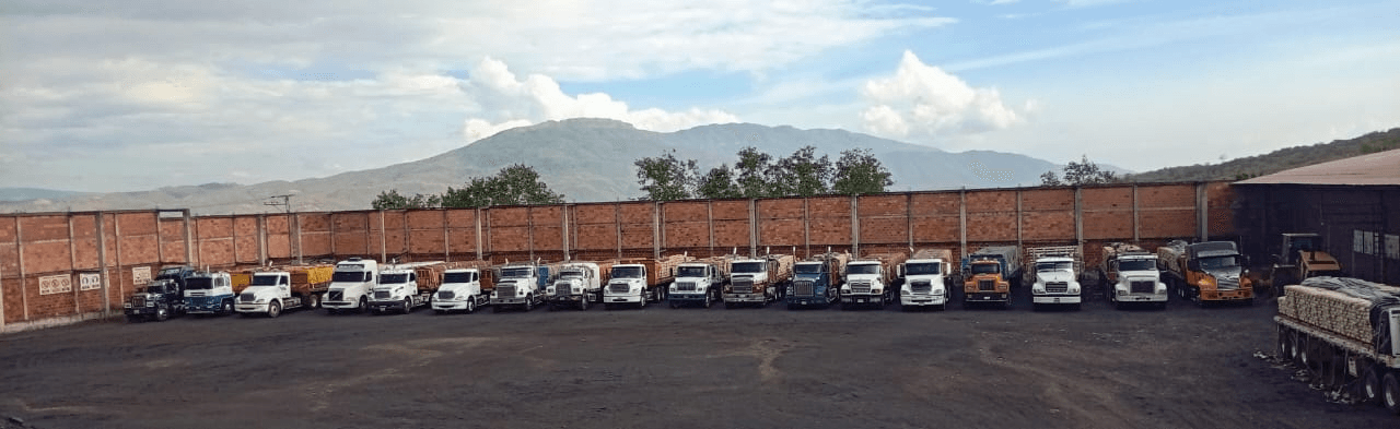 Servicio de almacenaje aduanero Transcav